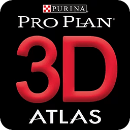 PP 3D AR