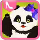 Panda Dress Up