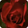 wallpaper live rose bud