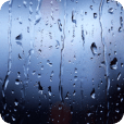 Rains Window Live Wallpaper