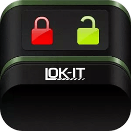 LOK-IT File Sync for USB...