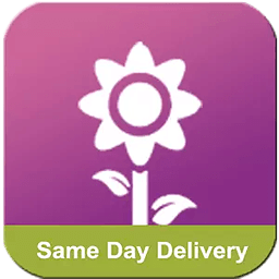 Flower Delivery Express