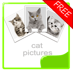 Cat Photos Album (free)