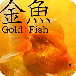 Gold Fish 3D