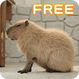 動物写真館free