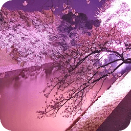桜のスライドパズル
