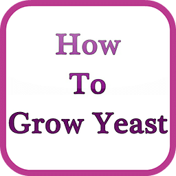 How to Grow Yeast