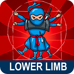 Anatomy Ninja Lower Limb