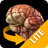 Brain 3D Anatomy Lite