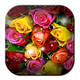 Free Image Roses