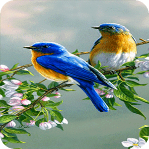 Blue Birds Live Wallpaper