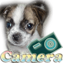 相机狗(Camera Dog)