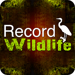 Record Wildlife