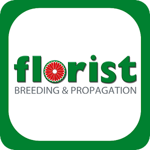 Florist Holland B.V.