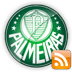 Palmeiras News