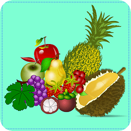 Fruit Memory Game Free