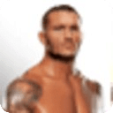 Randy Orton(RKO)