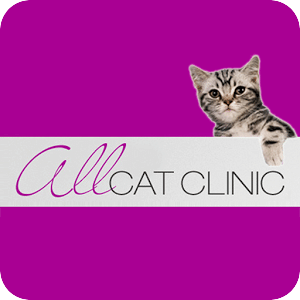 All Cat Clinic