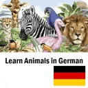 了解动物在德国