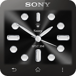 Luxury Watch Face for SW...