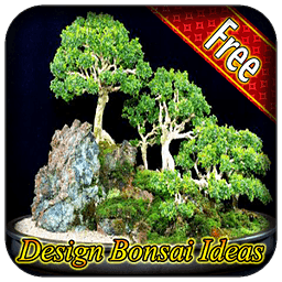 Design Bonsai Ideas