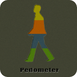 Pedometer - Walk Step Counter