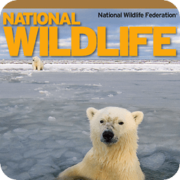 National Wildlife magazi...