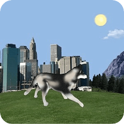 Dog Husky Traveling 3D LWP
