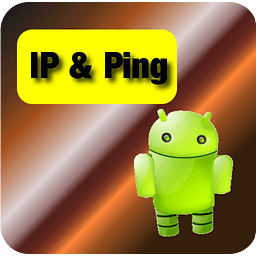 Network IP &amp; Ping