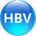 乙肝(HBV)指标参考