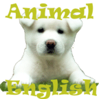 Animal English