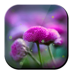 Nature Purple LWP