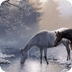 Horses and snow Live Wallpaper