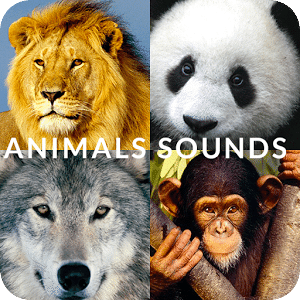 Animals friends - guess songs