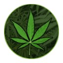 Enciclopedia Marihuana