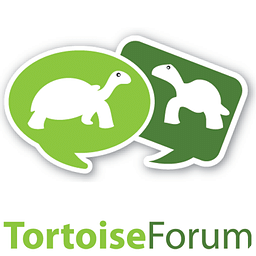 Tortoise Forum