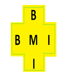 BMI Calculator (Beginner)