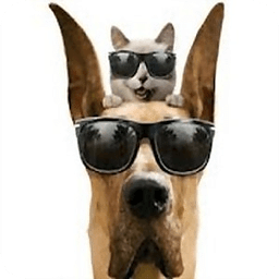 Funny Cats and Dogs