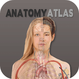 Human Anatomy Atlas Free