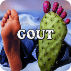 GOUT++