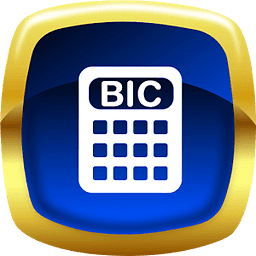 BIC Solver