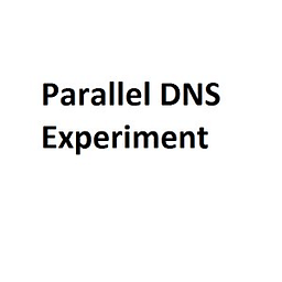 Parallel DNS Experiment