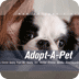 WGNTV - Adopt-A-Pet