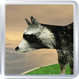 Pocket Raccoon Pet 3D