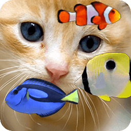 KITTY & FISH LIVE WALLPAPER(4)