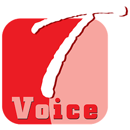 Town Voice