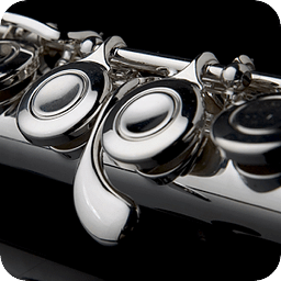 Easy Flute - Flute Tuner