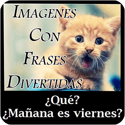 imagenes con frases dive...