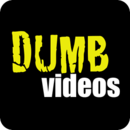 DUMB Videos