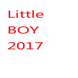 little boy 2017